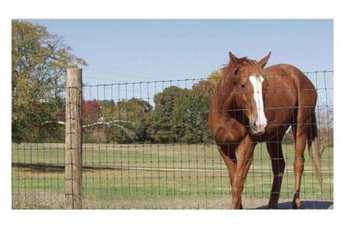 High Quality Protection Cattle Fence-Field Fe